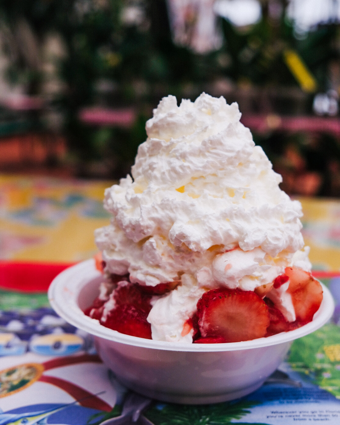 Wild Strawberry バスケット 鉢 Wild Strawberry バスケット 鉢 楽天