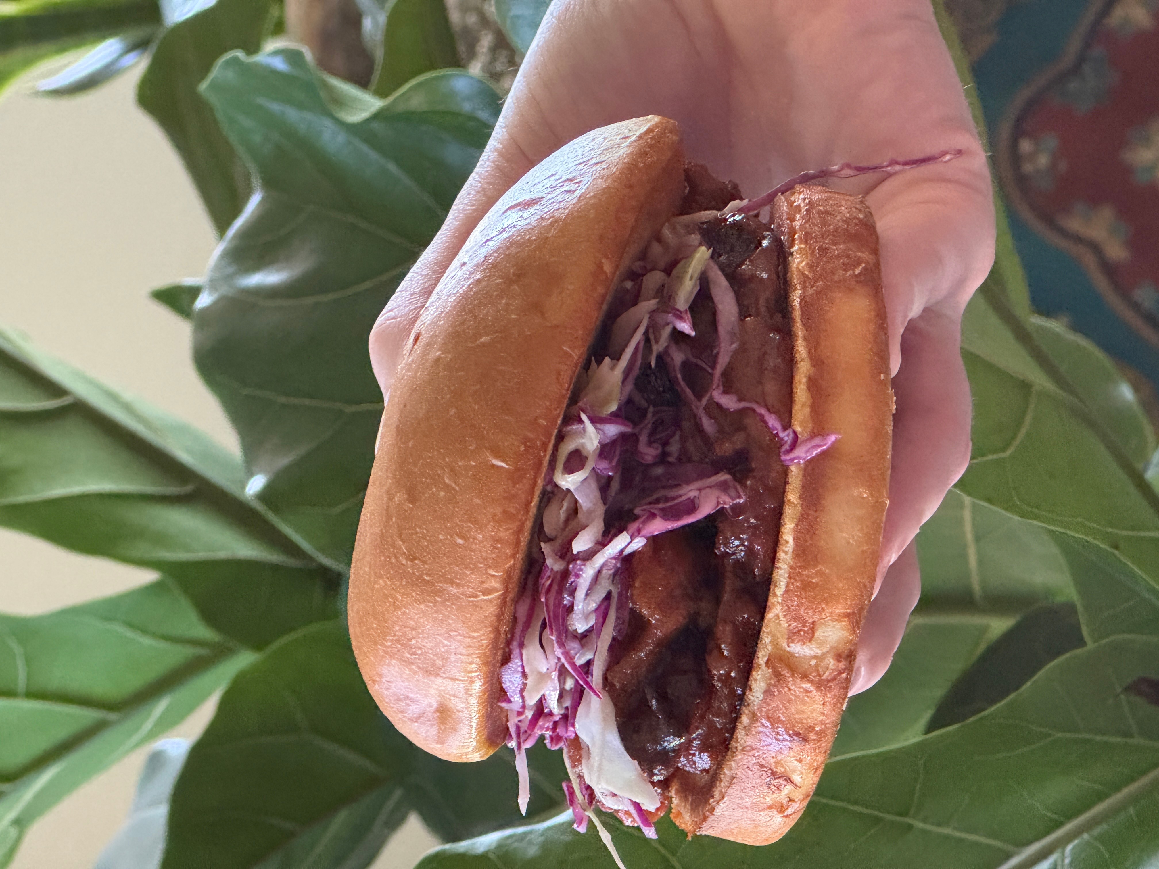 Person holding a sandwich with shredded purple cabbage and meat, in front of green leafy plants.