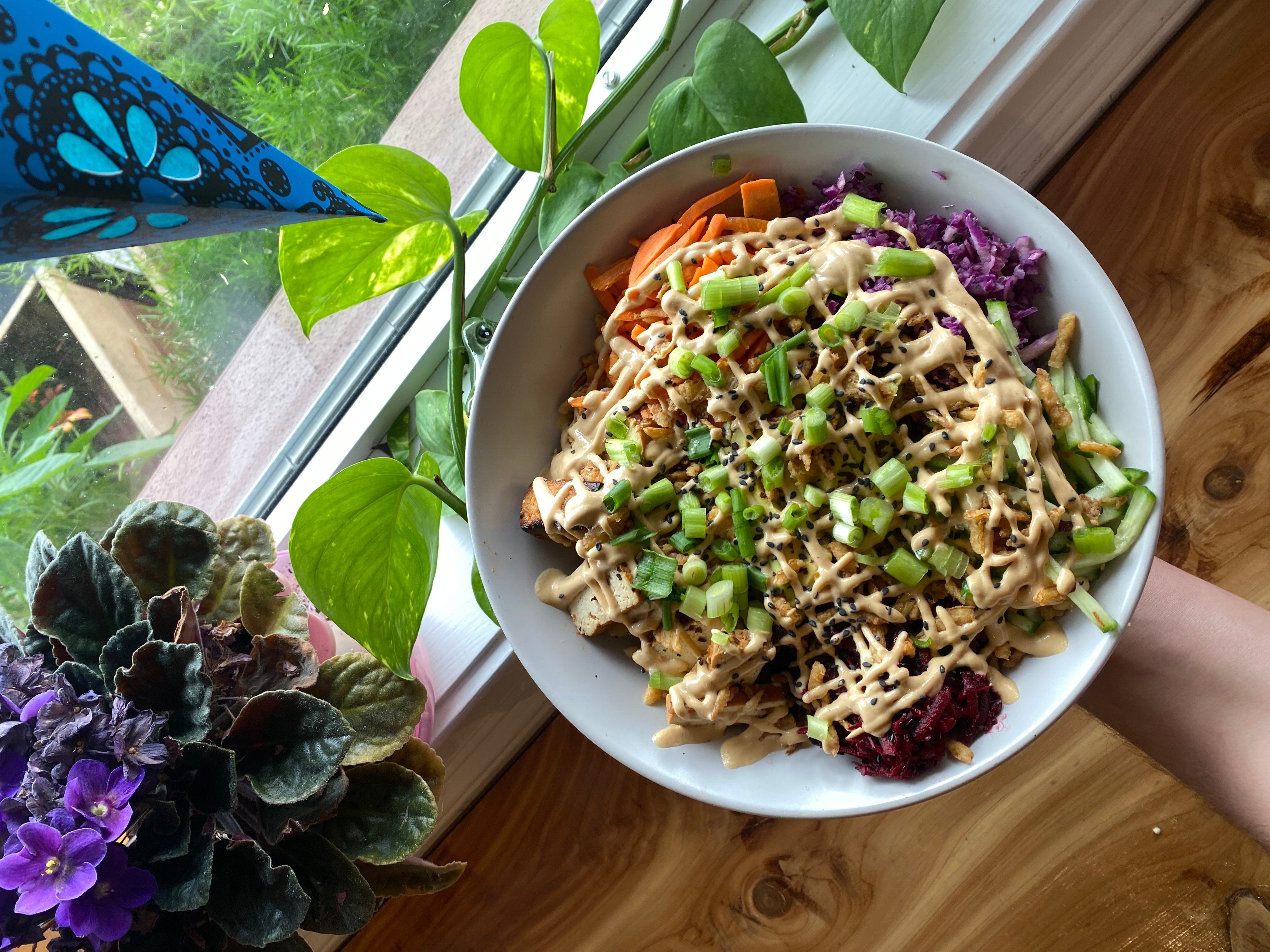A bowl of pasta with vegetables and sauce on a wooden table near a window with green plants.