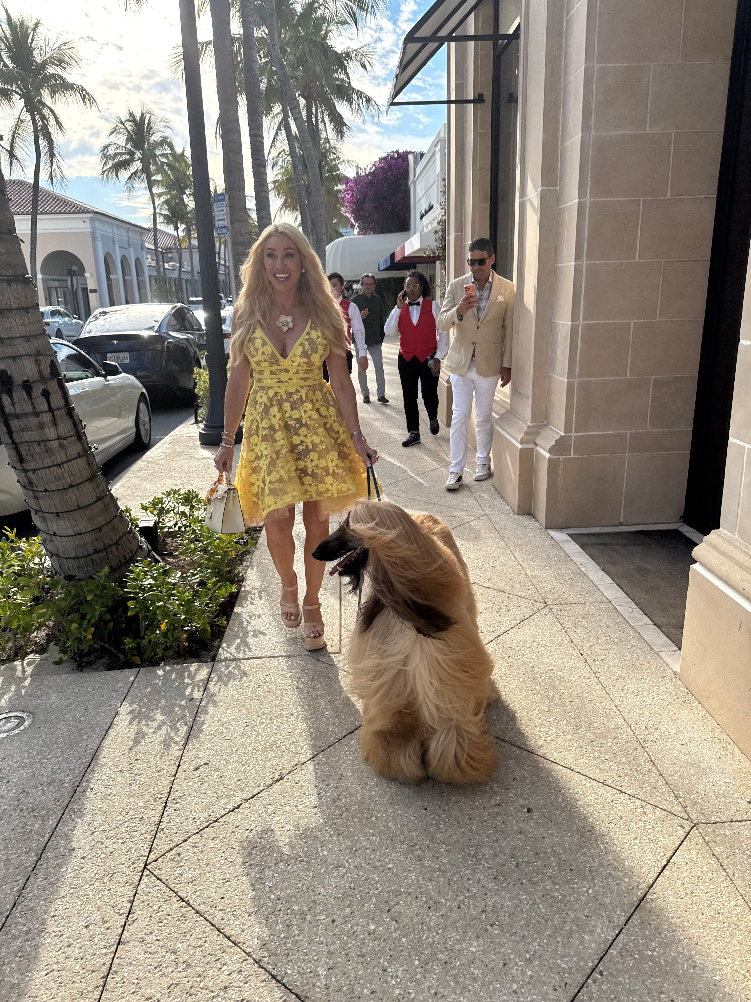 Woman in yellow dress walking with a dog on a sidewalk, people and palm trees in the background.