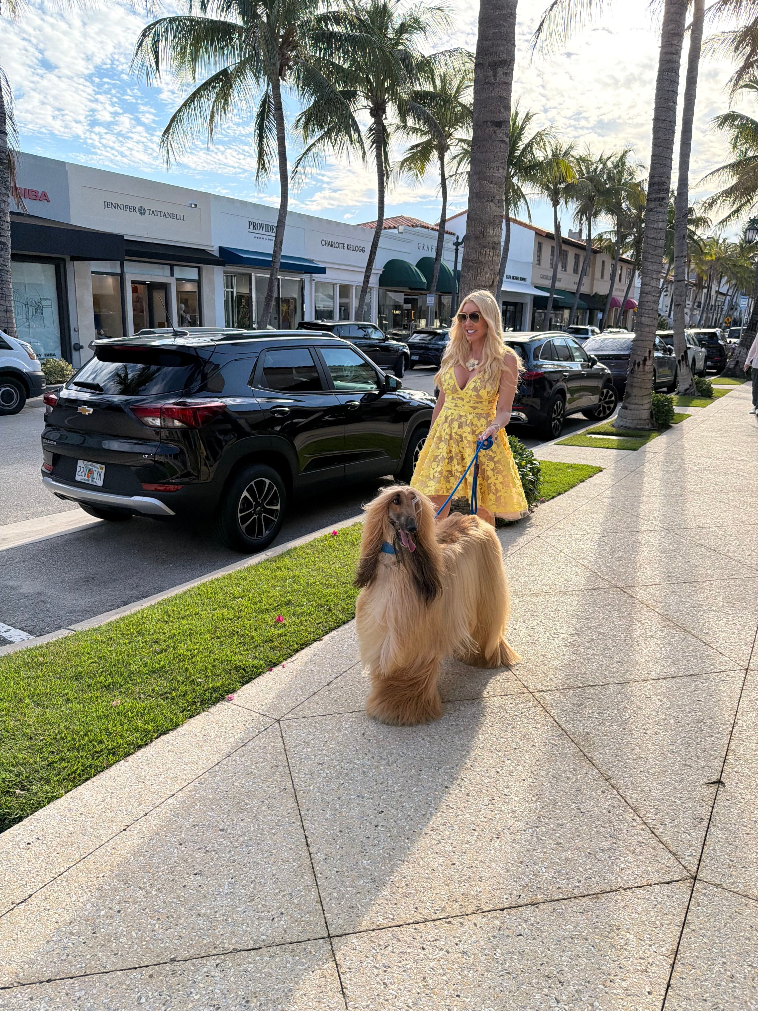 Person walking a dog on a leash on a sidewalk with parked cars and palm trees in the background.