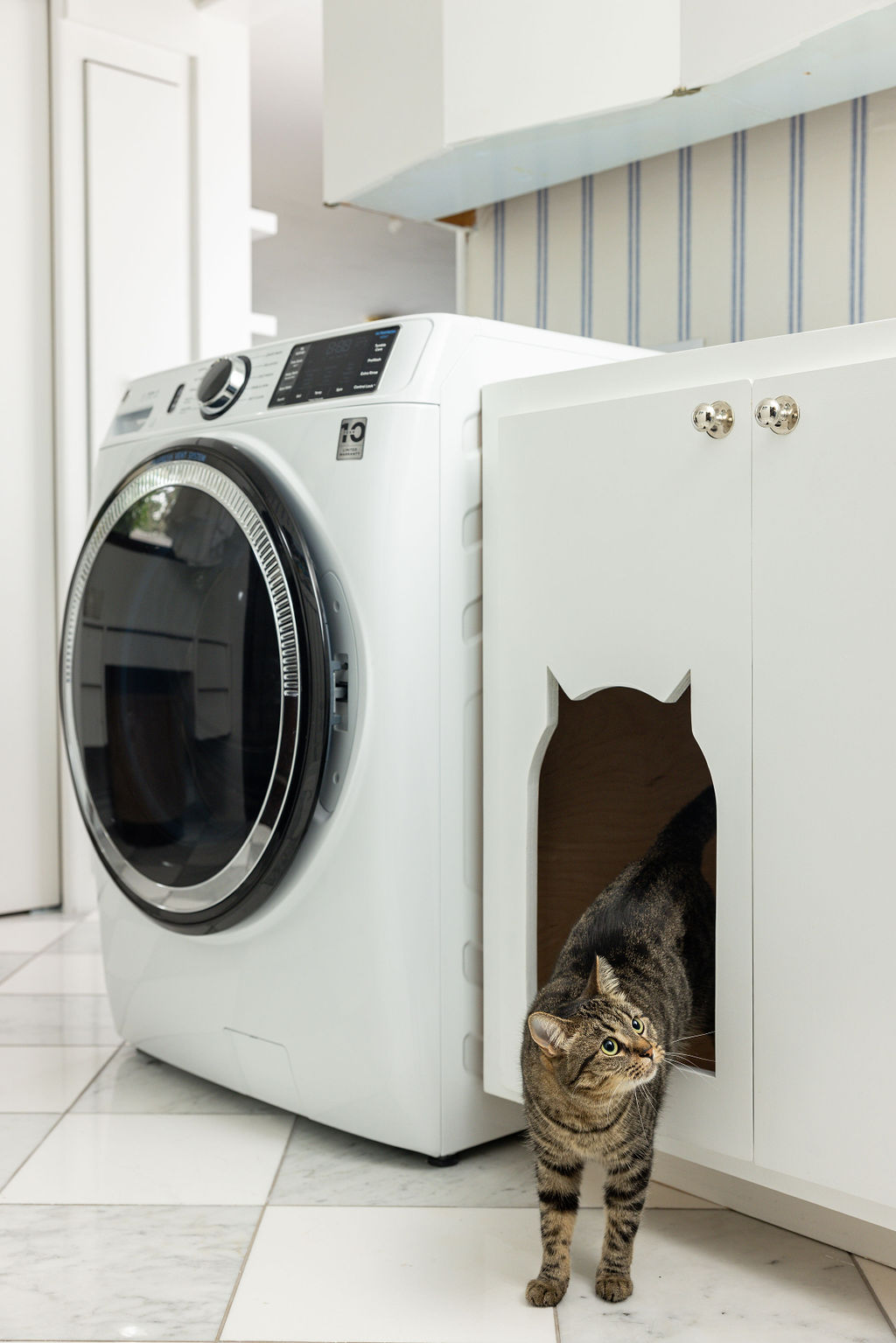 Cat exiting a small enclosed space next to a washing machine in a laundry room, with cabinets and striped wallpaper visible.