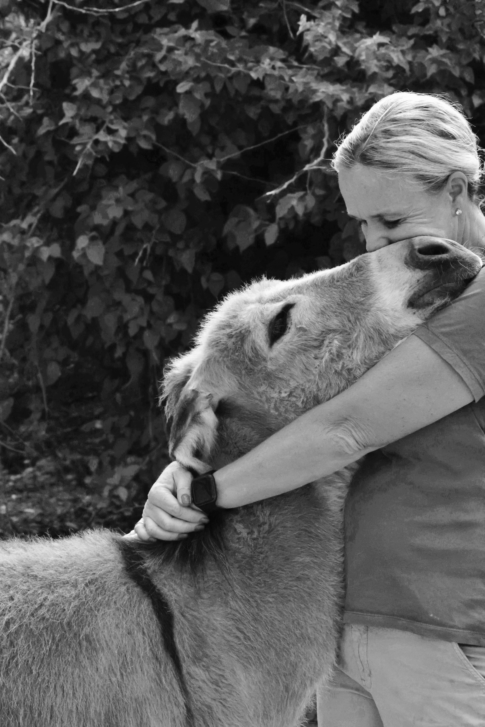 Person hugging a large dog outdoors with trees in the background, black and white photo.