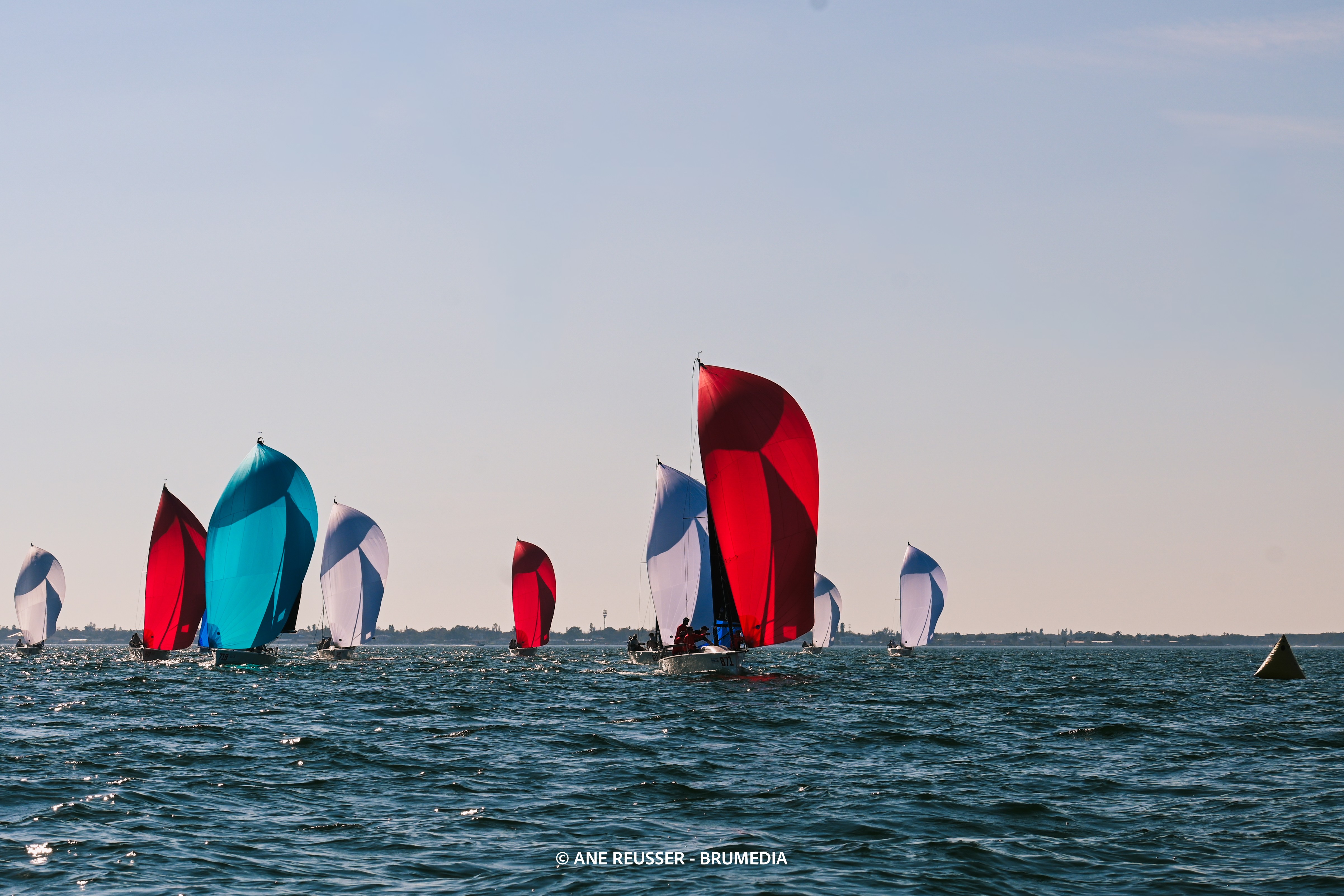 Multiple sailboats with colorful sails on the water under a clear sky.