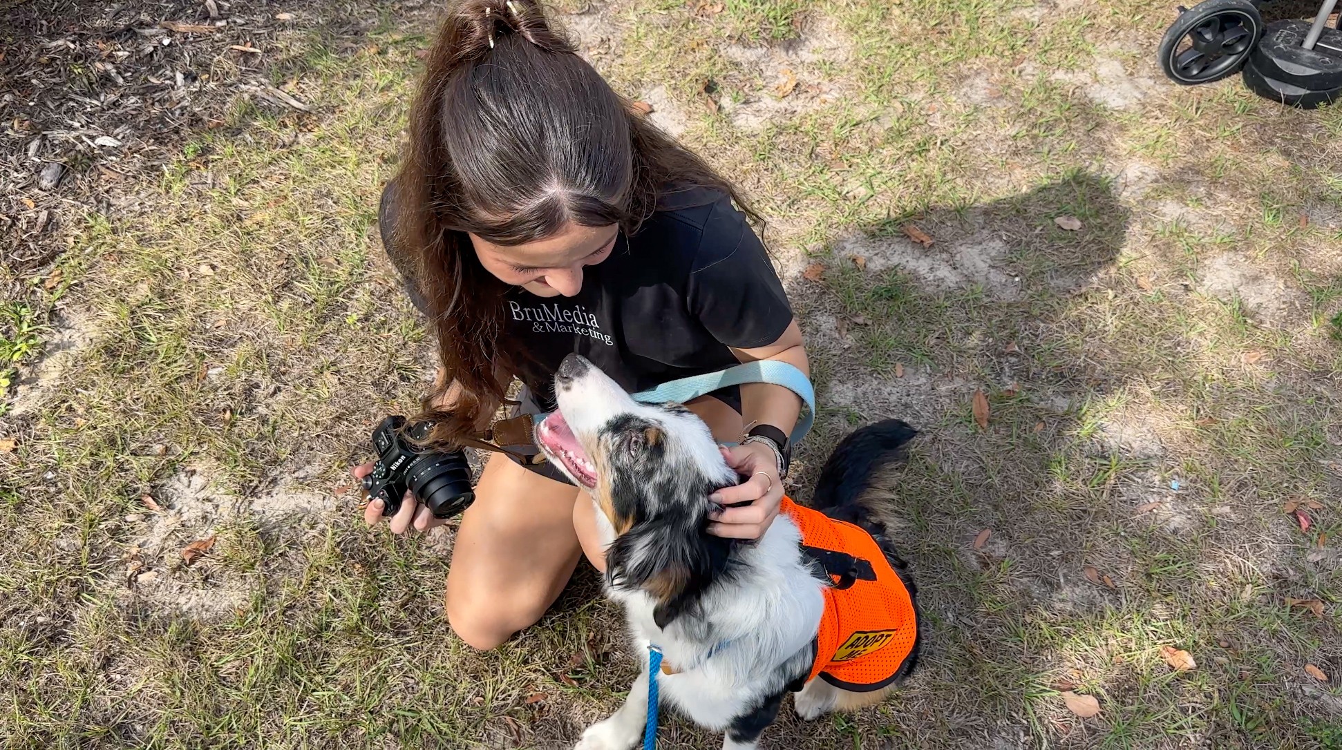 Girl kneeling on grass with a dog wearing an orange harness, holding a treat or toy, seen from above.