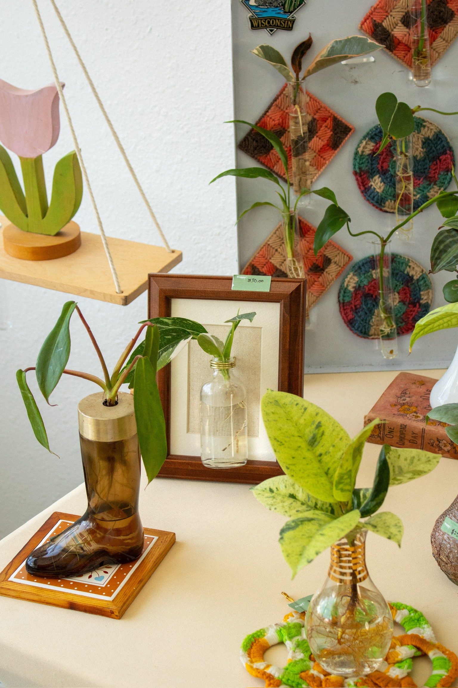 Decorative plants, a mirror, and colorful wall art on a table and wall, with a wooden shelf and framed mirror.