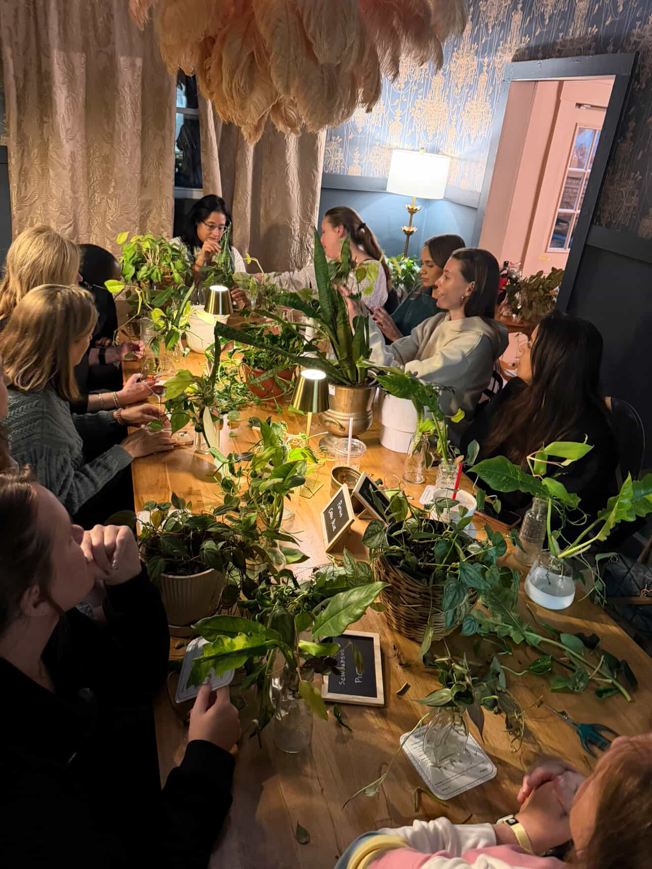 Group of people sitting around a table with plants, tablets, and drinks, in a room with large windows and hanging decorations.