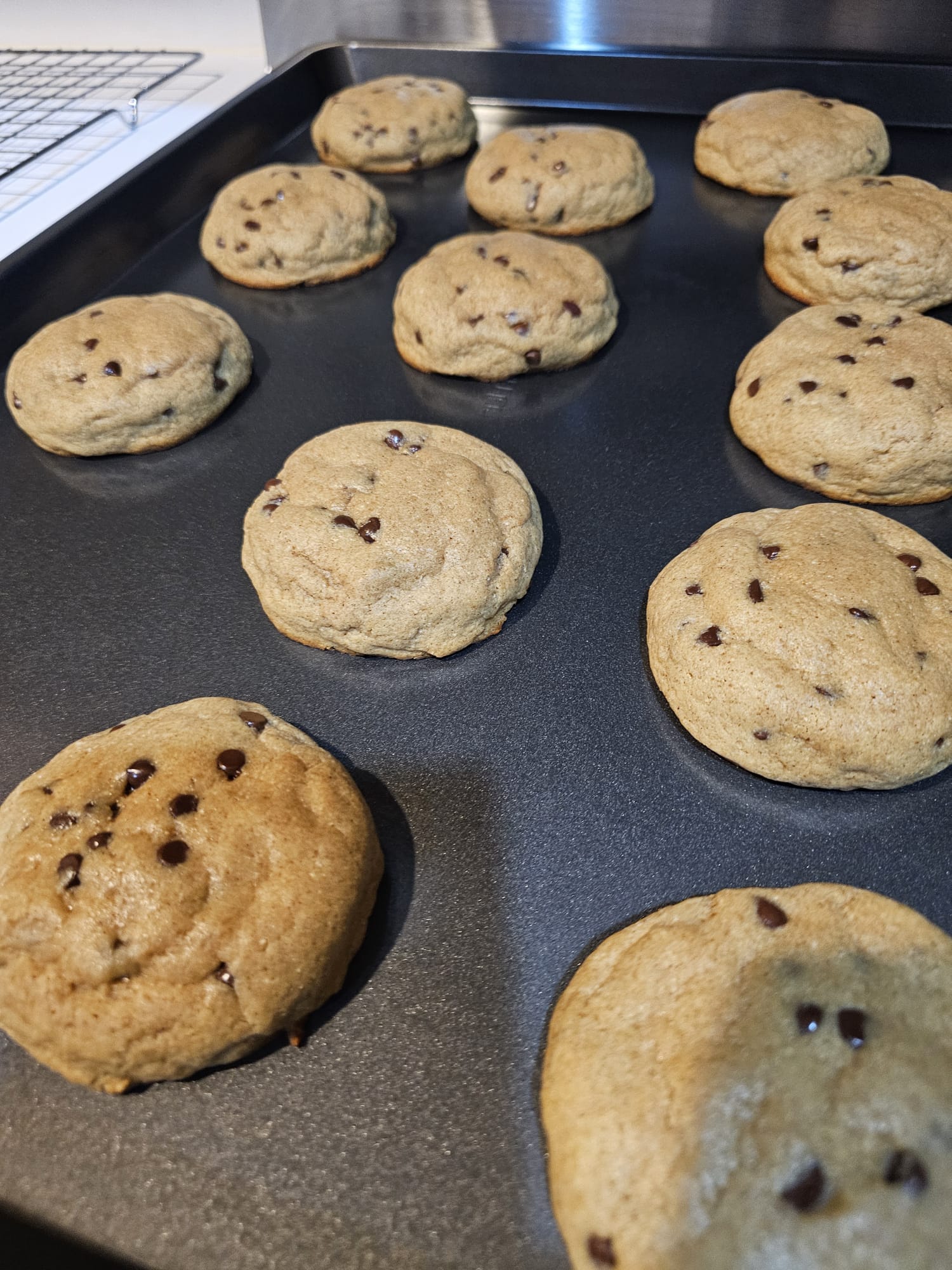 Freshly baked chocolate chip cookies on a baking sheet, some with visible chocolate chips, arranged in rows.
