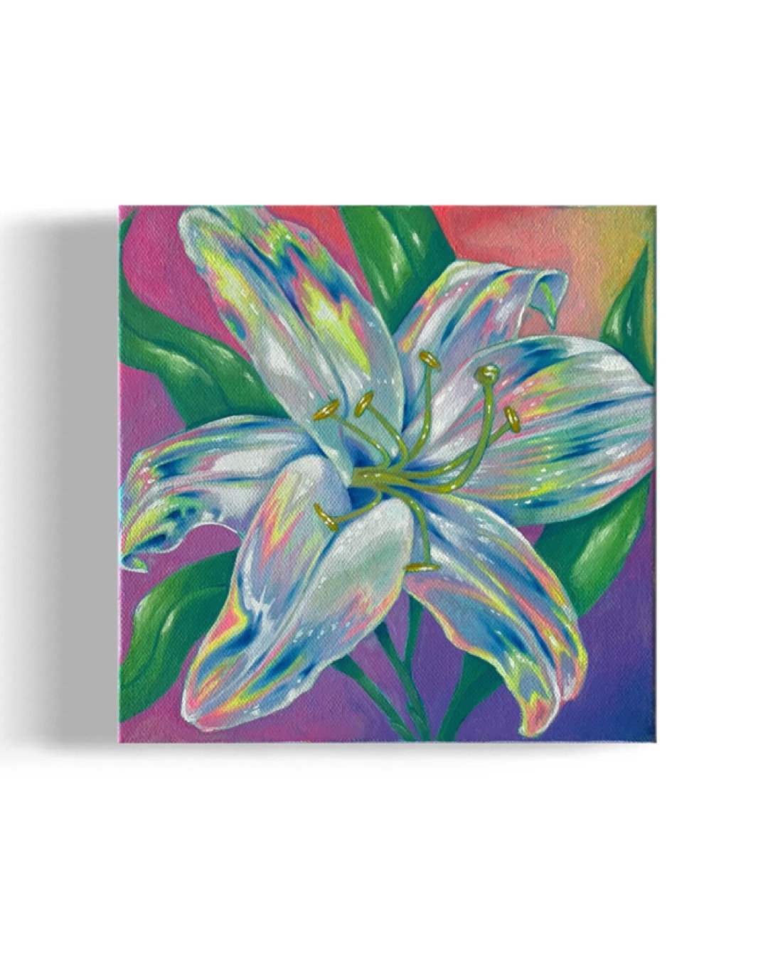 Colorful lily flower with white petals and green leaves against a pink and purple background.