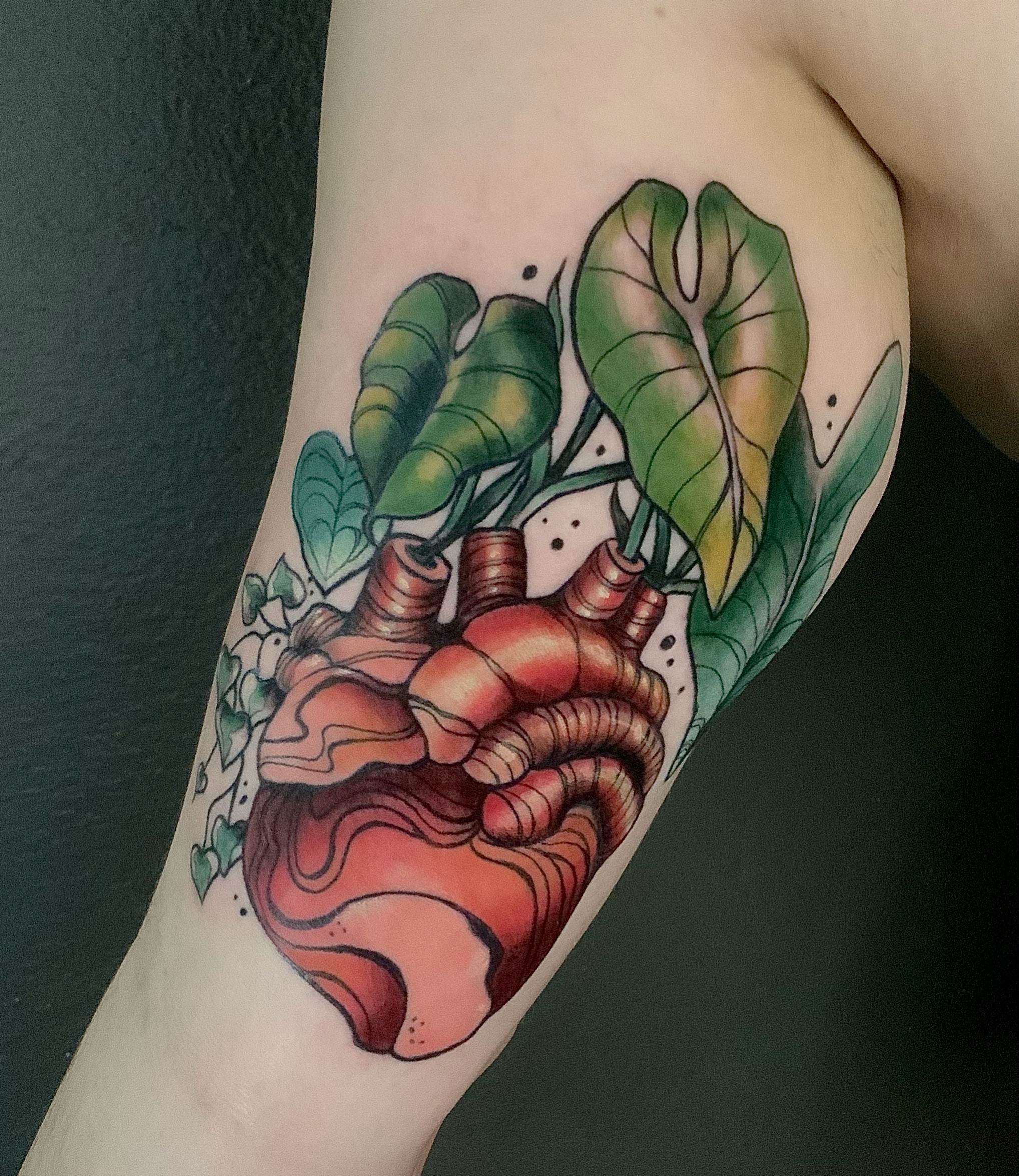 Colorful tattoo of a human heart with green leaves on upper arm, detailed shading and line work, vibrant colors.