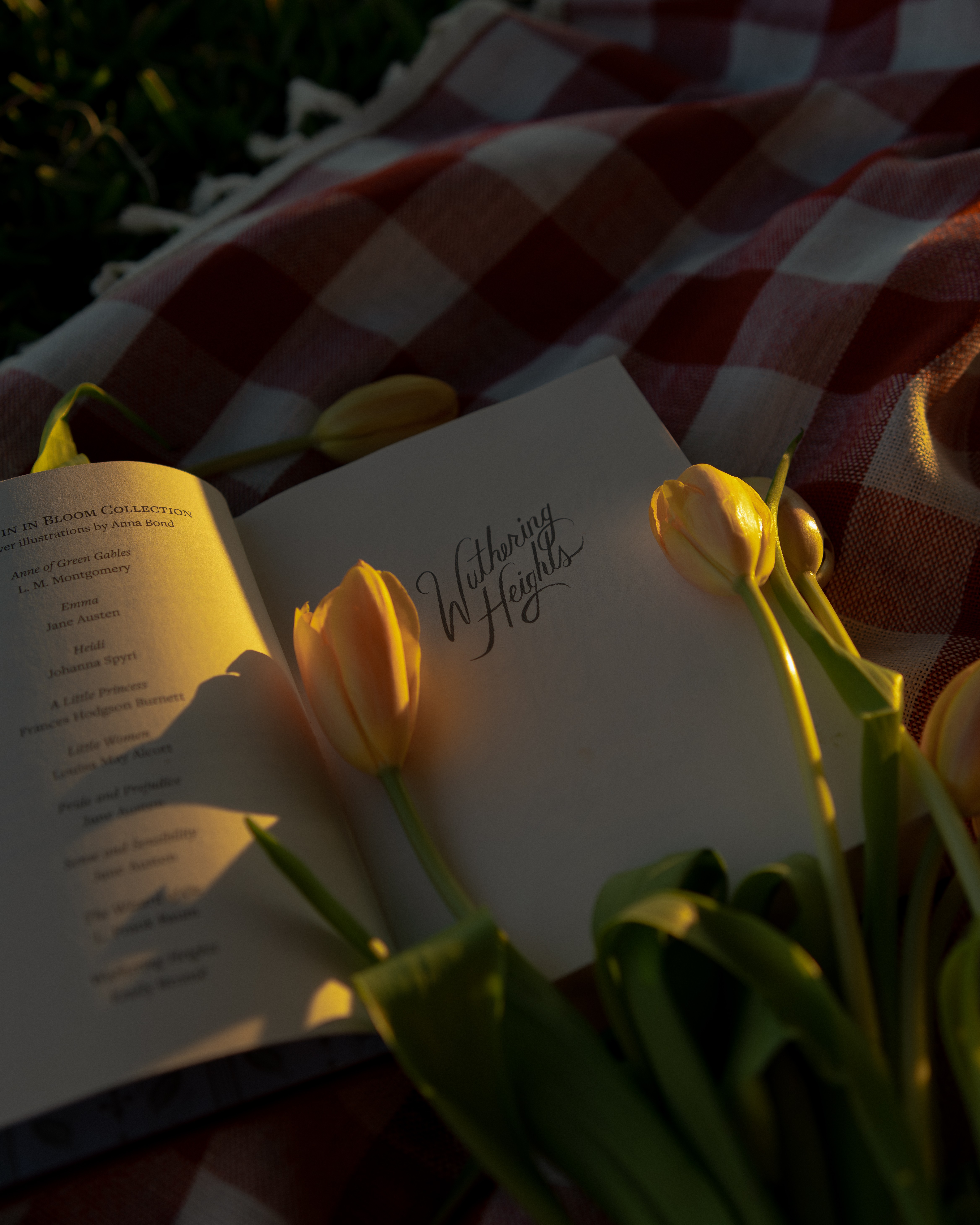 Open book with yellow tulips on a checkered blanket outdoors, sunlight casting shadows, in warm lighting.