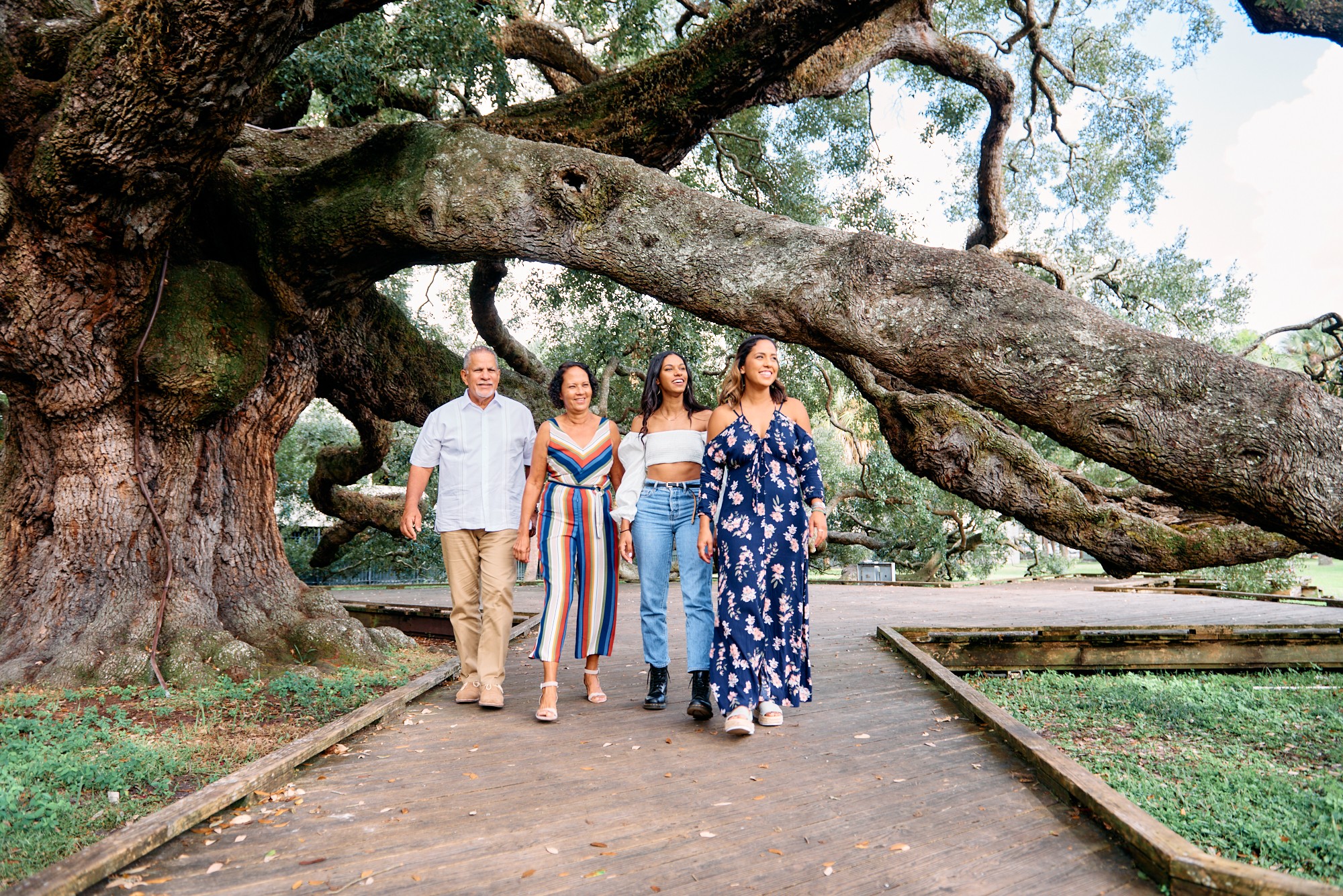 Four people walking on a wooden path under a large, leaning tree with sprawling branches, in a park setting.