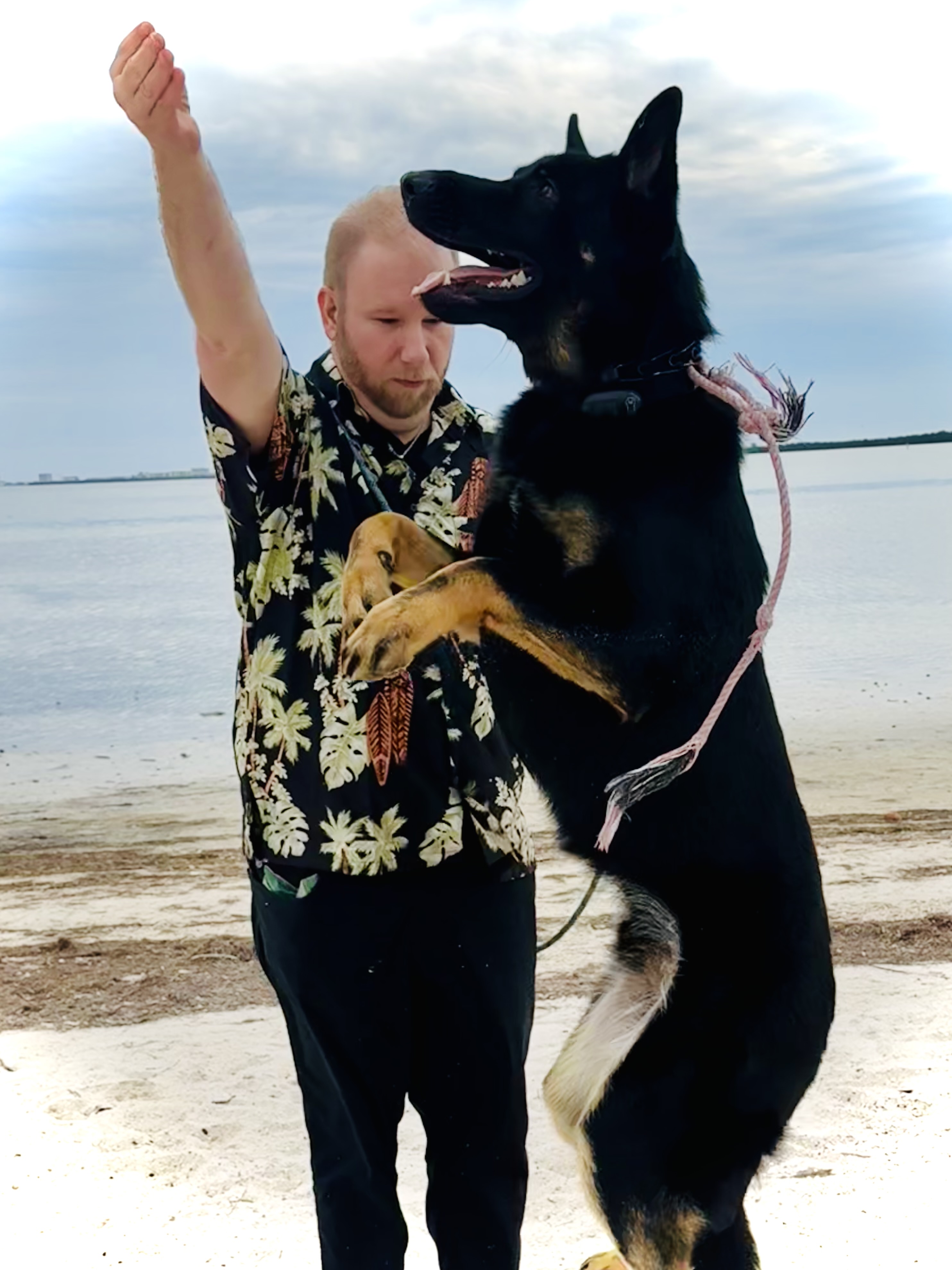 Person holding a large black and tan dog on a beach with water and sky in background.