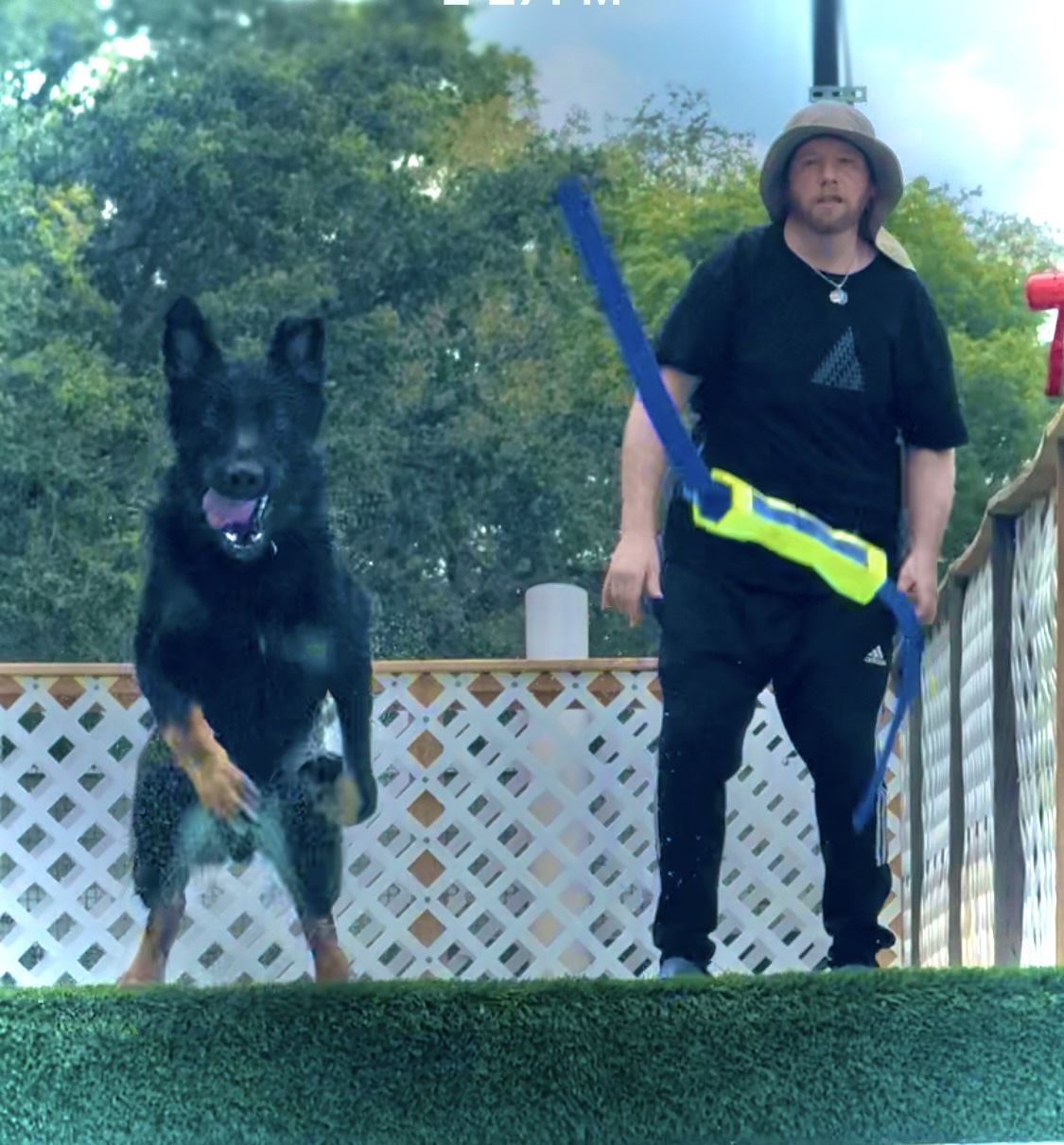 Person standing on a deck with a black and tan dog jumping in front, trees in background, person wearing hat and black clothing.