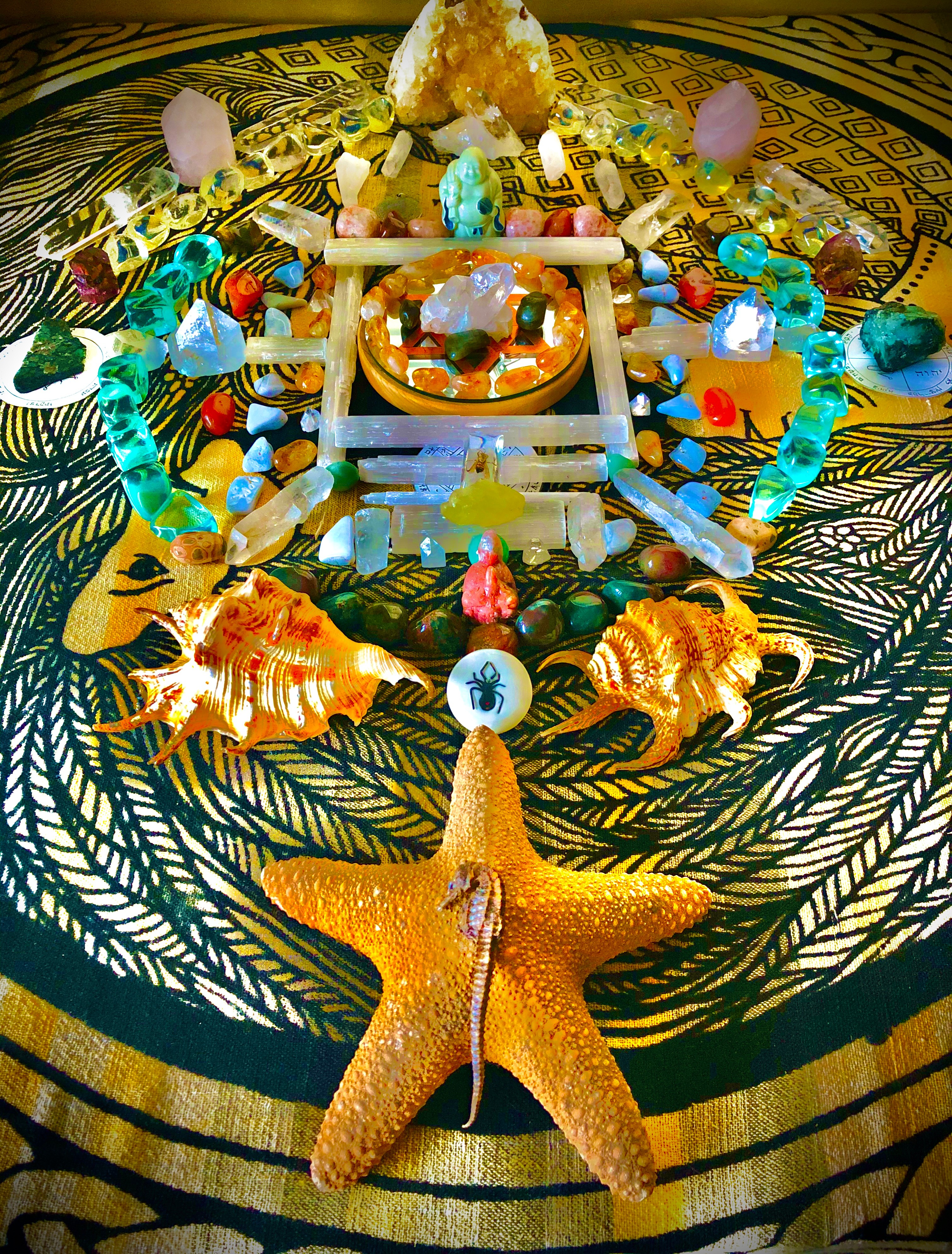 Colorful seashells, starfish, and decorative objects arranged on a patterned surface, with a starfish in the foreground.