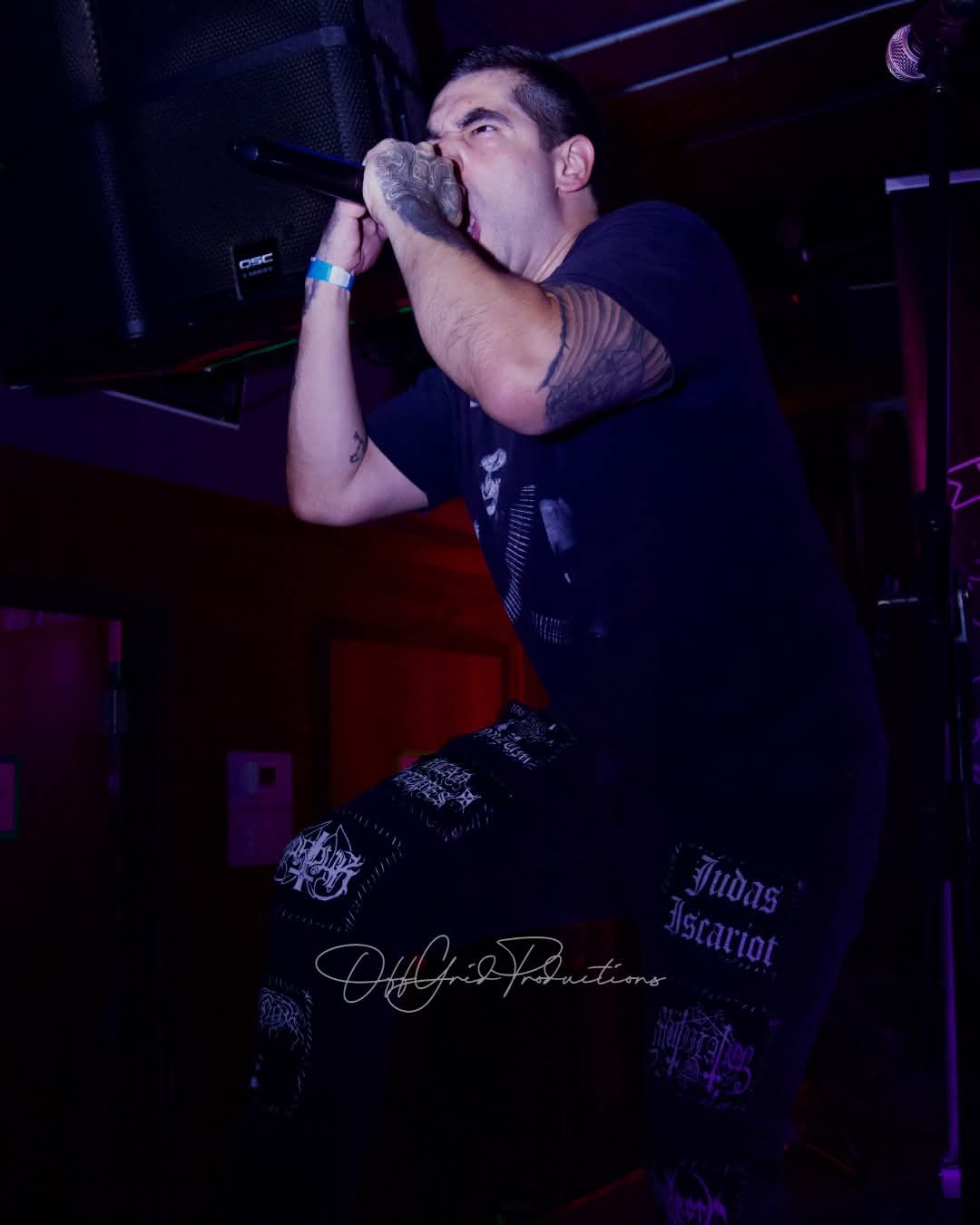 Person singing into a microphone on stage with dark background and purple lighting.