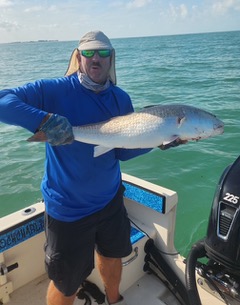 Person holding a large fish on a boat in the water, wearing sunglasses, a hat, and a blue shirt.