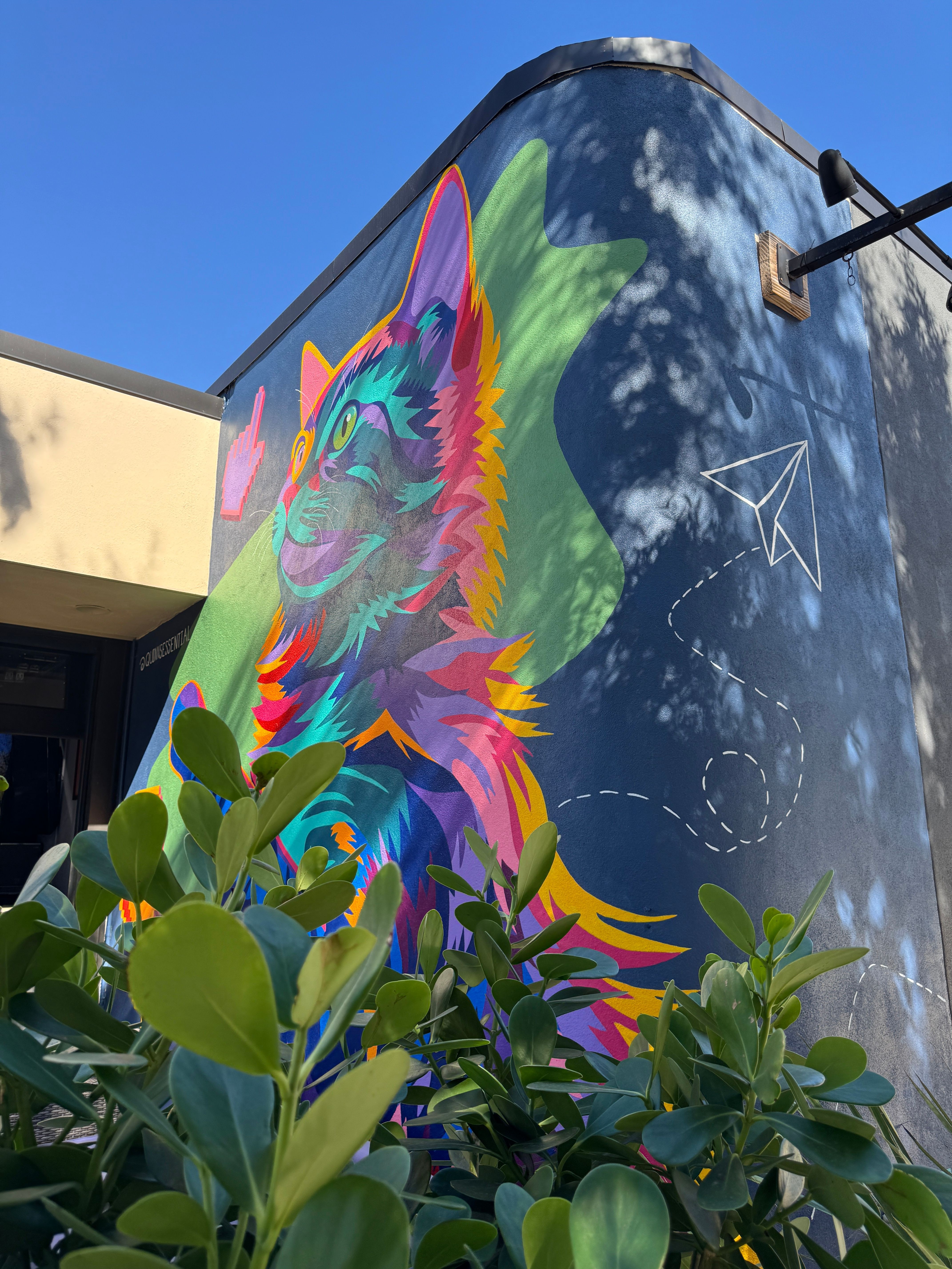 Colorful mural on a wall with a plant in front, sky and clouds reflected on the surface, and a paper airplane drawing.