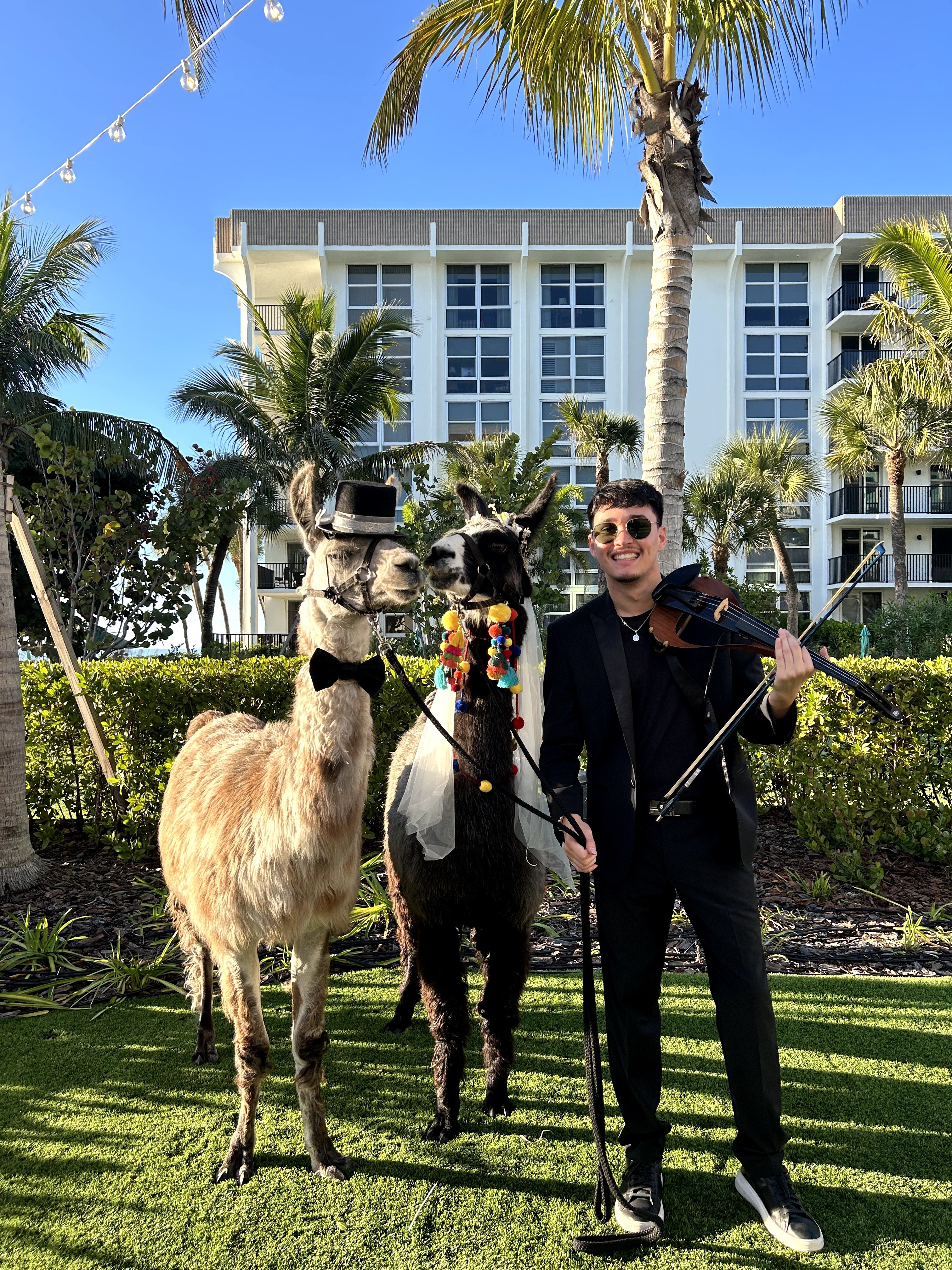 Man in black suit with sunglasses standing between two llamas outdoors, with a modern building and palm trees in background.