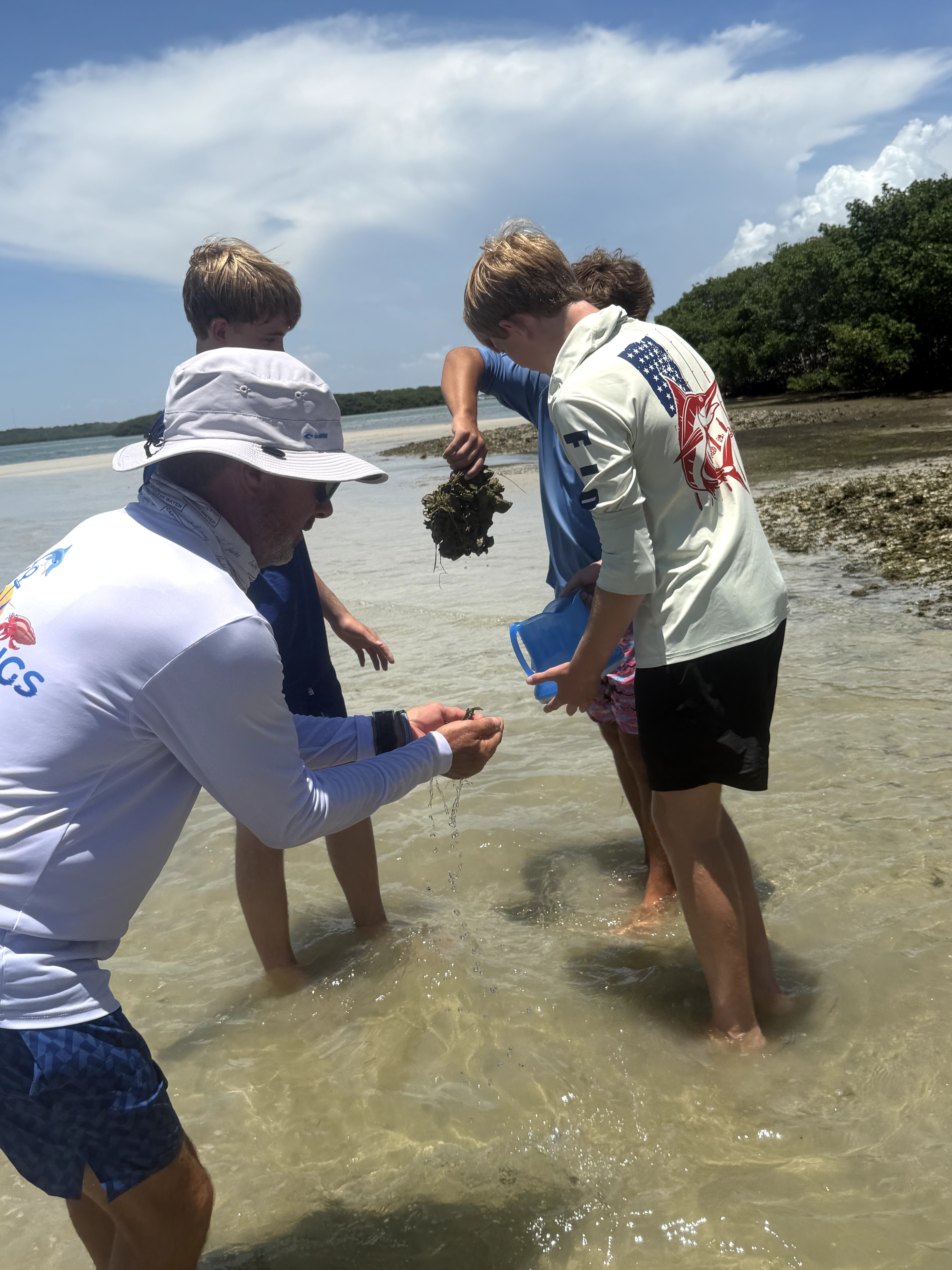 Four people stand in shallow water at the beach, examining something in one person's hand, with trees and sky in background.