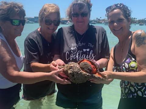 Four women holding a large sea creature on a beach with water and boats in background.